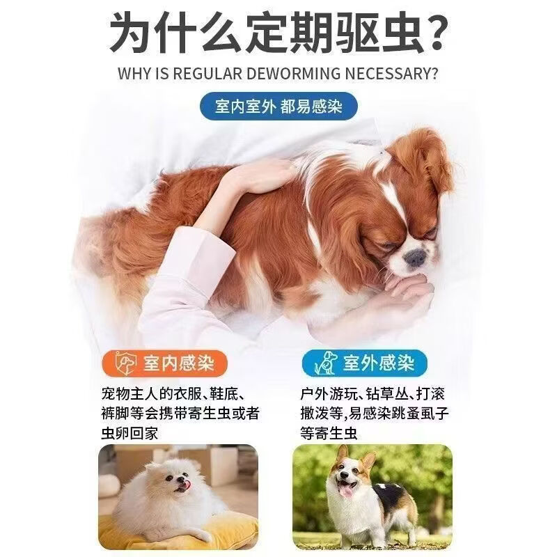 贝卫多宠物体内驱虫药狗狗体内口服驱虫药片 氟雷拉纳咀嚼片 超大型犬 20-40kg 1000mg*1盒 刮码