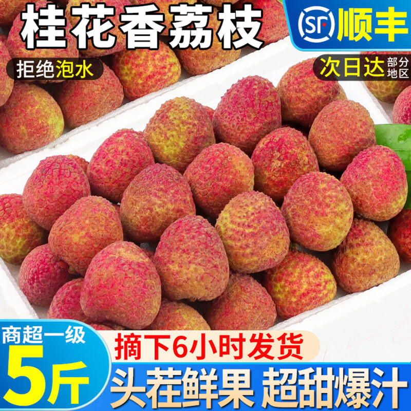 ���ڲ��������ȹ��ߺ�����֦���ʡ�JD˳�����-��ش��մ����ζ��֦ˮ����� 3�ﾫѡװ����������-�ݻ��㡿��2.5�� ��ѡ��Ʒ��ح����16-20g�����𡿣�80%�� 158.8Ԫ