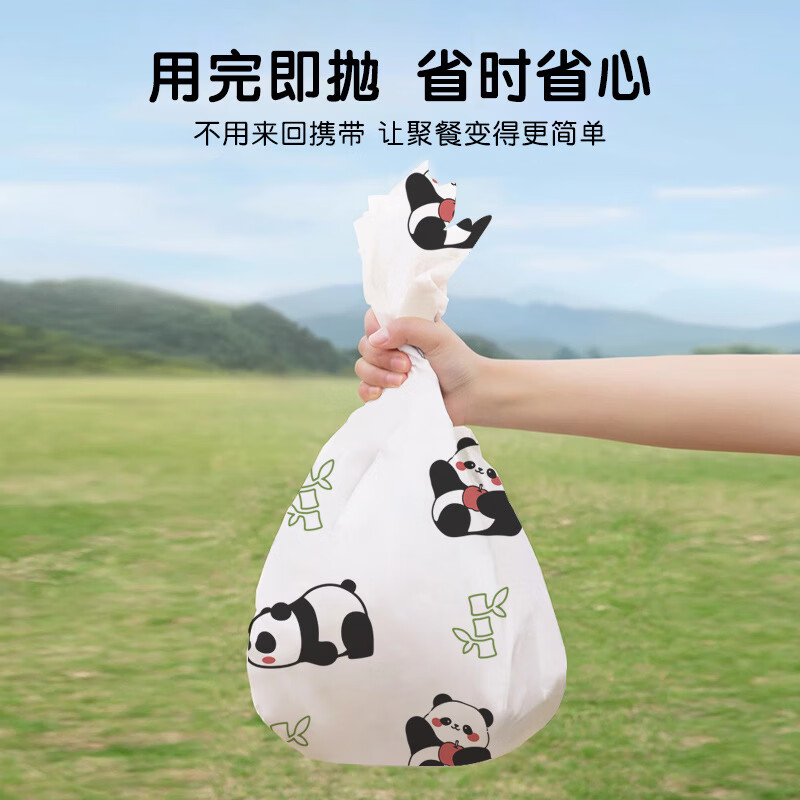 恬舒一次性野餐垫防潮户外露营加厚春游垫子便携地垫郊游沙滩垫野餐布 一次性野餐垫200*220cm 印花款