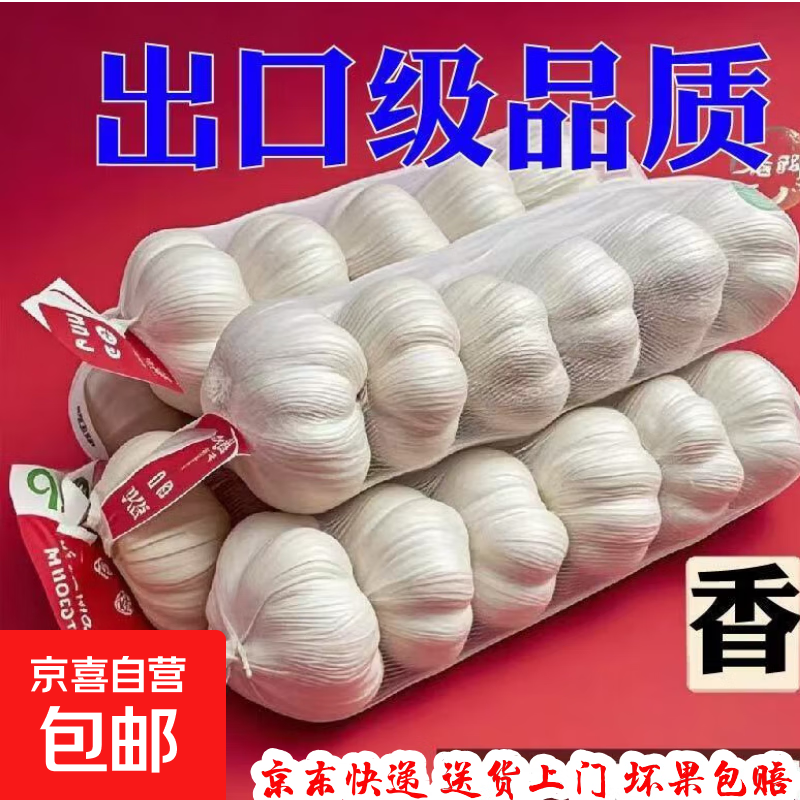 大蒜头出口品质网兜紫蒜蔬菜调料新鲜大果烧烤火锅食材 【精品网兜装】3头 100g