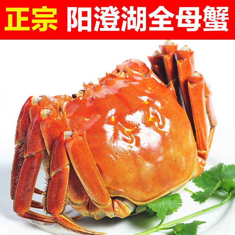 з κբзʻĸзشĸзȫĸз 8ֻ 3.5/ֻ