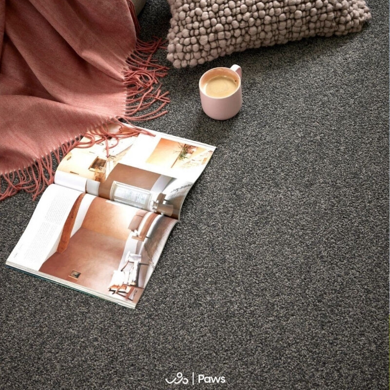 WOOCARPT巴克旅店短绒可水洗客厅无胶防水地毯高级奶油风沙发卧室宠物地毯 蓝绿色【防水款-耐猫抓】 140*200cm【推荐1.8-2米沙发】