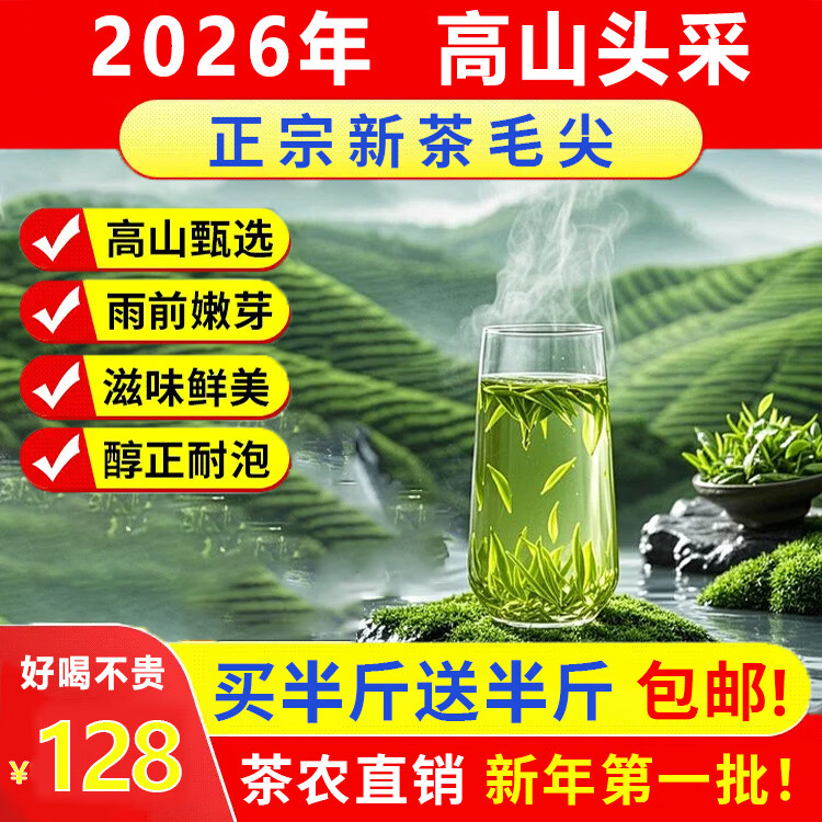 高山头春头采信阳毛尖正宗茶雨前春茶2026新茶叶绿茶嫩芽250g/袋 【买半斤送半斤】头春头采毛尖新茶1斤