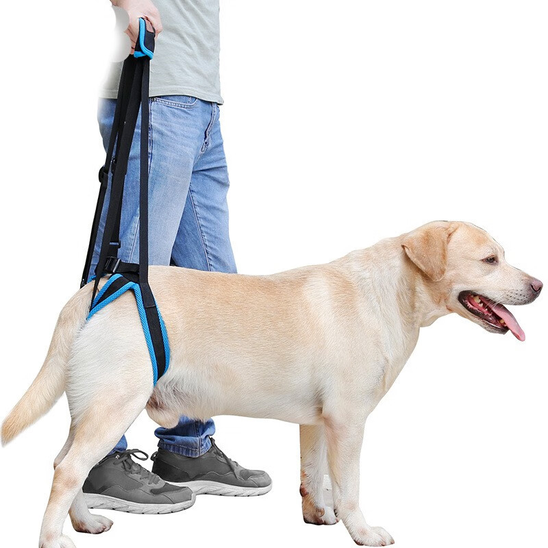 查在线外出用品商品历史价格|外出用品价格走势