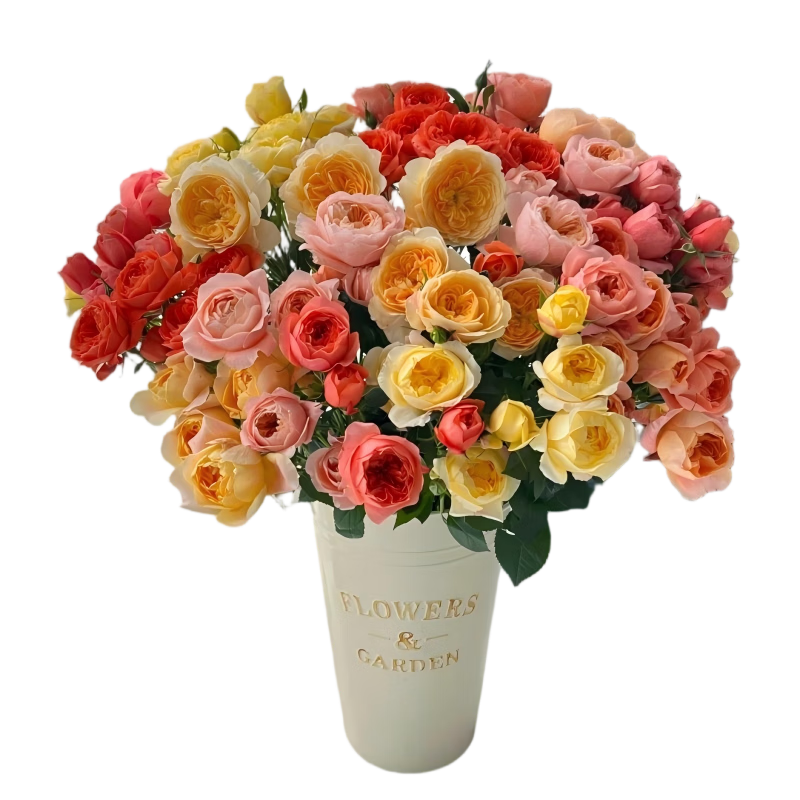 �ٽ��ۣ��뻨ͬ�� ä�е�ͷõ�� 10֦ ���ϻ����滨 ��Ʒ���ʻ� 9.7Ԫ������������յ���