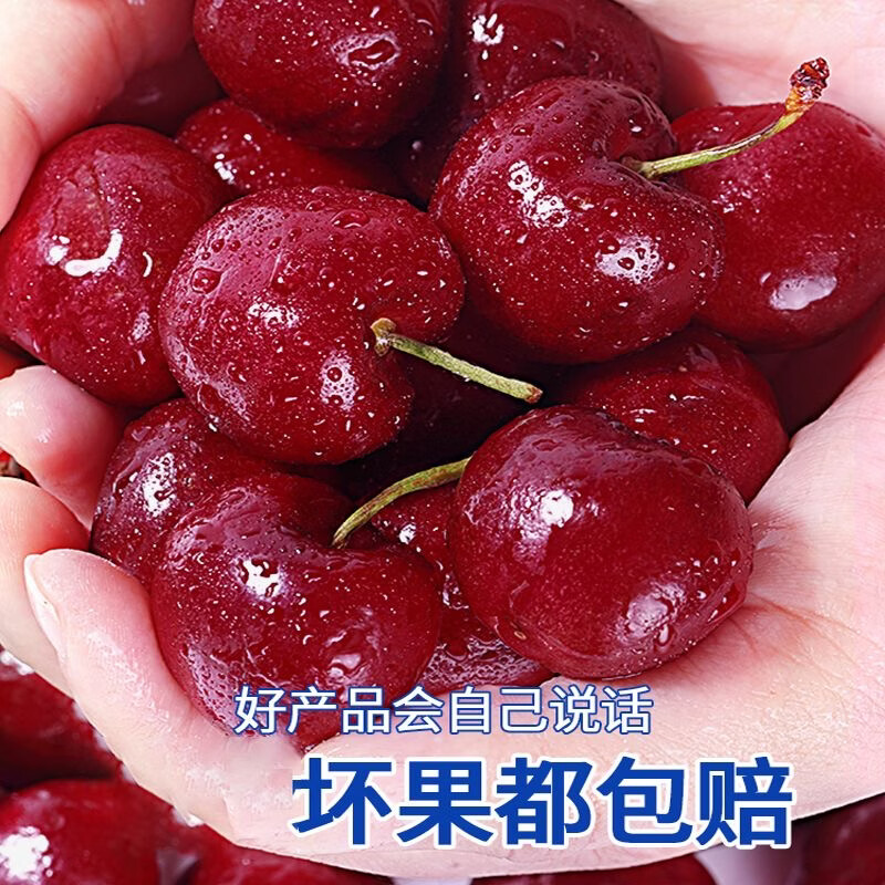 鲁禧山东大樱桃车厘子新鲜应季水果送礼礼盒 4斤(净重) 【头茬尝鲜】品质手选果22-26mm