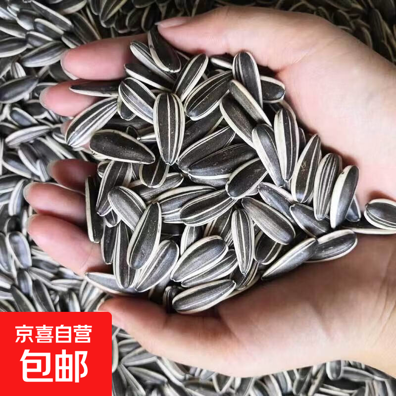 新货净重现炒熟瓜子大颗粒散装原味葵花仔特价生货批新鲜葵花子 【特大炒熟】瓜子100克