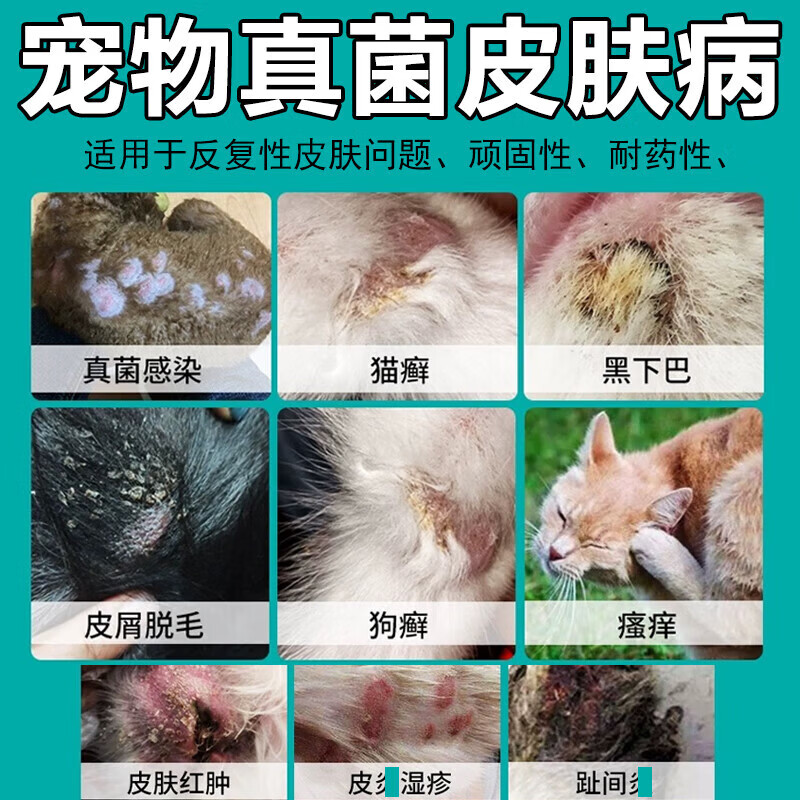 狗狗皮肤病专用药外用狗癣真菌感染感染化脓溃烂脱毛螨虫专用喷剂 1瓶*1盒 【皮肤病专用】