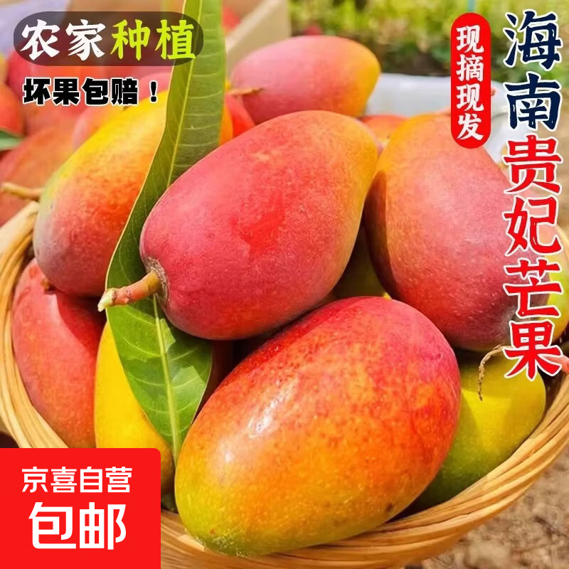 正宗海南贵妃芒果 果香浓郁 香甜多汁 现摘现发 放软吃更香甜 带箱5斤（净重4.5斤）单果100g+