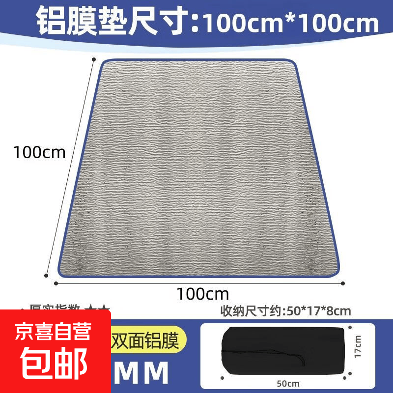 防潮垫户外露营加厚帐篷用睡垫家用打地铺床上用野餐隔潮垫子地垫 【可坐2人】1米*1米