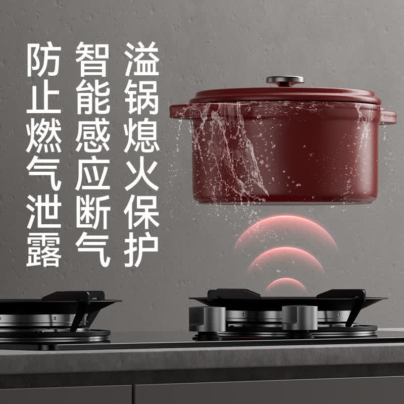 红日(RedSun)定时猛火聚能红外线燃气灶具高热效率家用一级能效节能省气 超一级节能70%高热效率定时红外灶 DX10 天然气