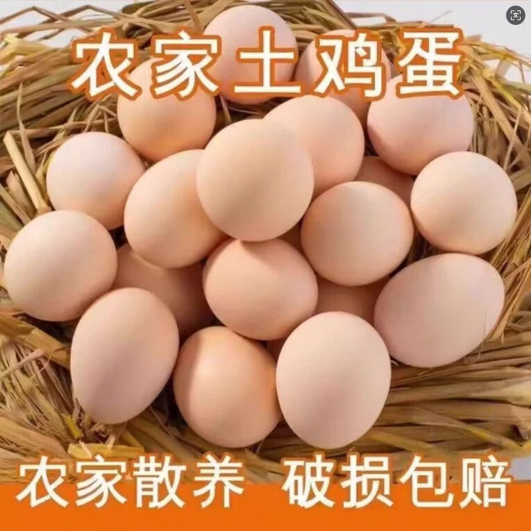 京沭农家散养谷物土鸡蛋新鲜柴鸡蛋农村山林笨鸡蛋初生蛋现拣农场珍珠 50枚
