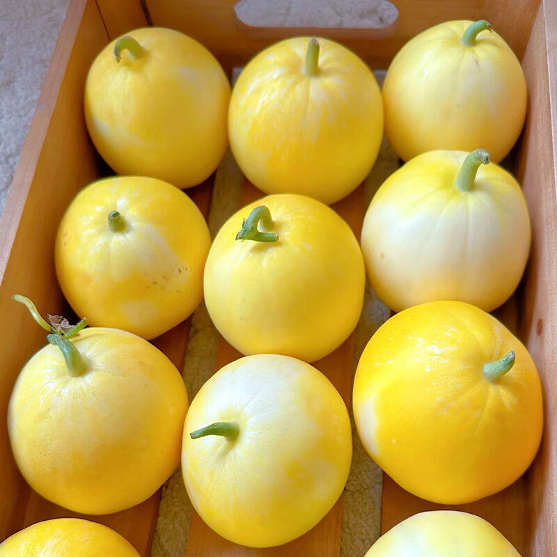 正宗山东头茬小蜜蜂甜瓜星甜20新鲜水果当季现摘蜜罐甜瓜顺丰包邮 净重4.5斤【5-7个】手选精品大果