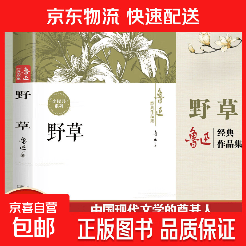 【现货速发】鲁迅经典作品集：野草  初中生课外书阅读书籍 孔乙己阿Q正传朝花夕拾狂人日记故乡呐喊彷徨祝福 鲁迅经典作品集：野草