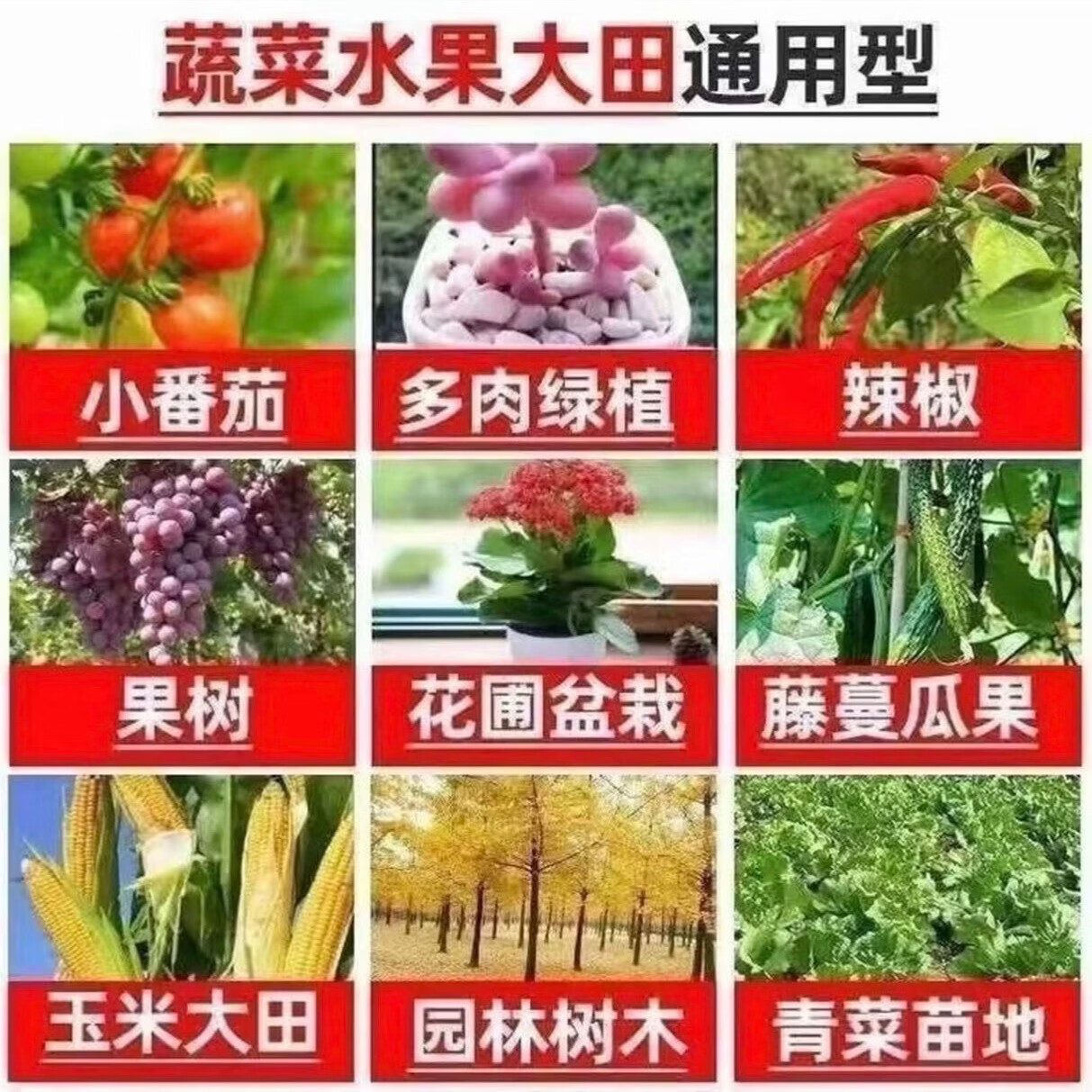 美国进口复合肥50斤蔬菜瓜果肥料花卉氮磷钾硫酸钾肥颗粒肥T006 50kg kg硫酸钾型复合肥【黄金比例】