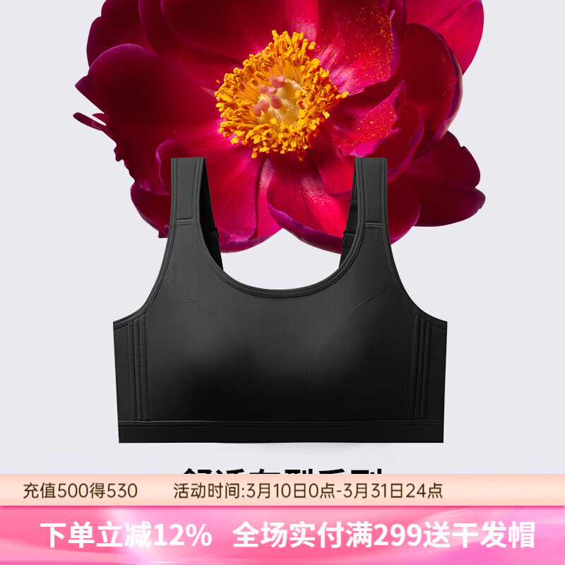 润微运动内衣女欧若风普拉提防震薄款无痕大胸显小收副防下垂文胸 黑色 XL （适合85BC）