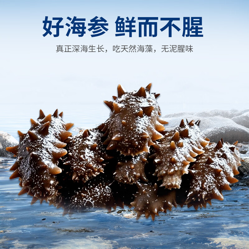 星龙港大连即食海参 深海底播辽刺参 加热即食海参礼盒 即食海参 500g *2盒【共计1kg，32-40只】