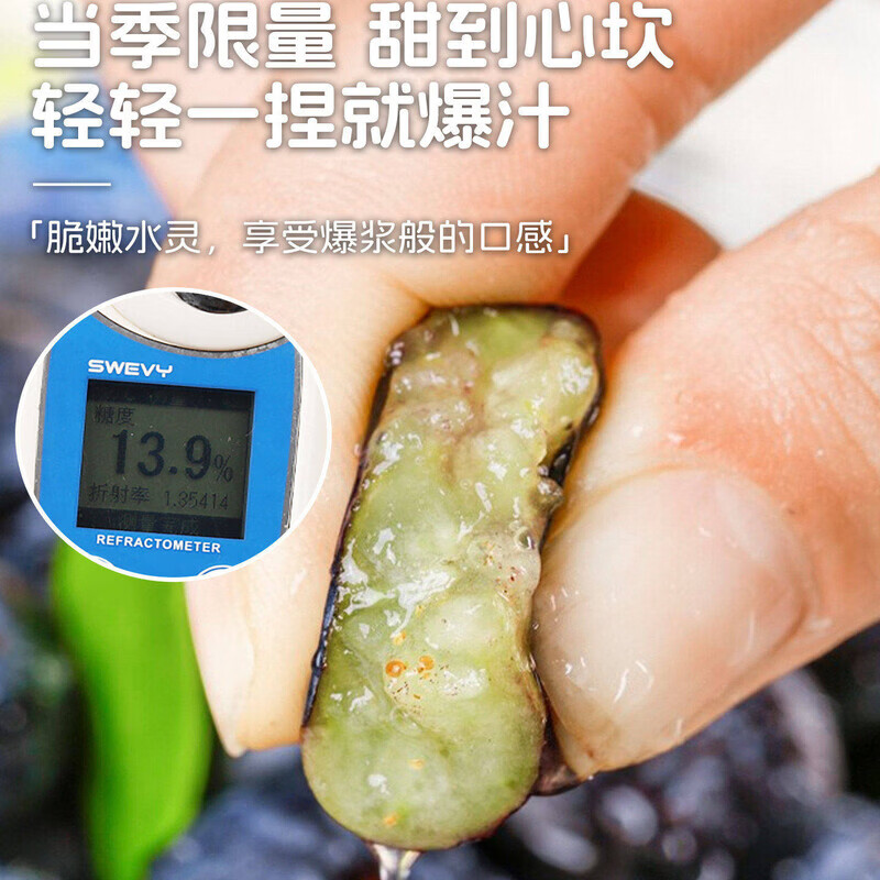接运猫新鲜云南高山蓝莓鲜果正宗花香蓝莓果王当季现摘水果现货顺丰包邮 12盒 顺丰/JD极速达|果王【22-25mm】单盒125g|稀有少见