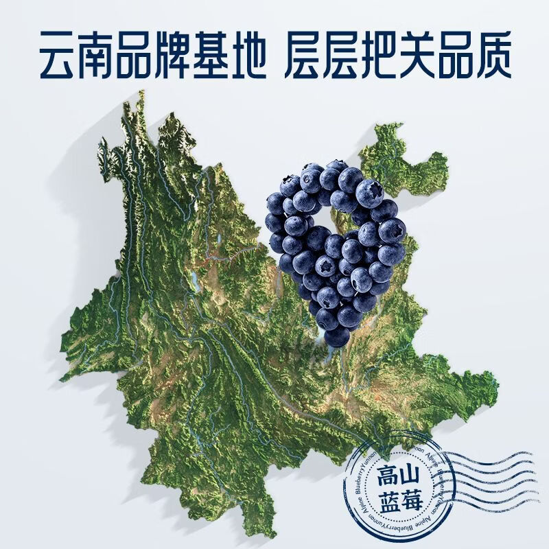 隰(xi)悦云南蓝莓 中果14mm+ 125g/盒 生鲜水果 源头直发 8盒