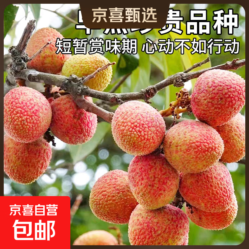 ���ڲ�������ϲ�Ӿ���ֱ��ͷ�纣�Ϲ�����֦����ˮ��������ժ�ַ���� ��ѡ������֦1�����1�����15-18g 99.8Ԫ