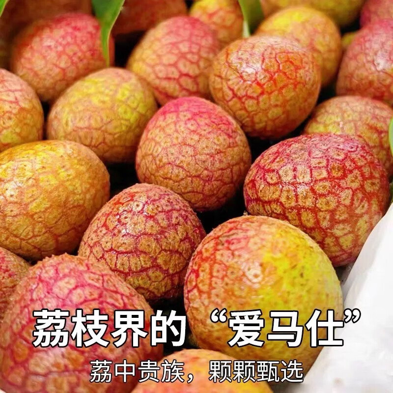 三萌果蔬 海南荔枝新鲜【JD顺丰空运-多地次日达】桂花香荔枝水果礼盒送礼 【80%人选·精选果】丨单果16g+ 3斤装【超值推荐-超划算】净2.5斤