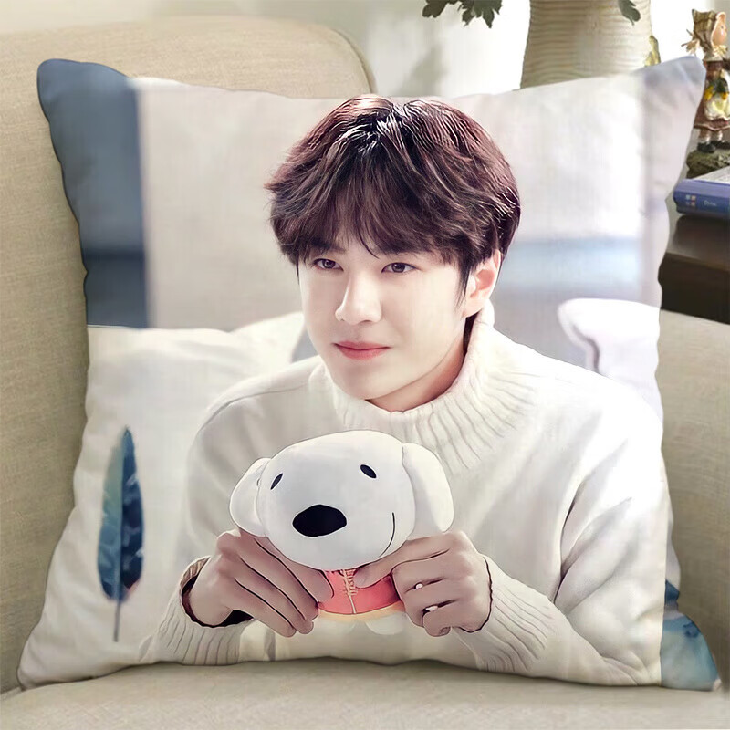 卡佰索王一博双面应援抱枕含枕芯45X45送闺蜜 【双面不含枕芯】40x40厘米 金王一博-1