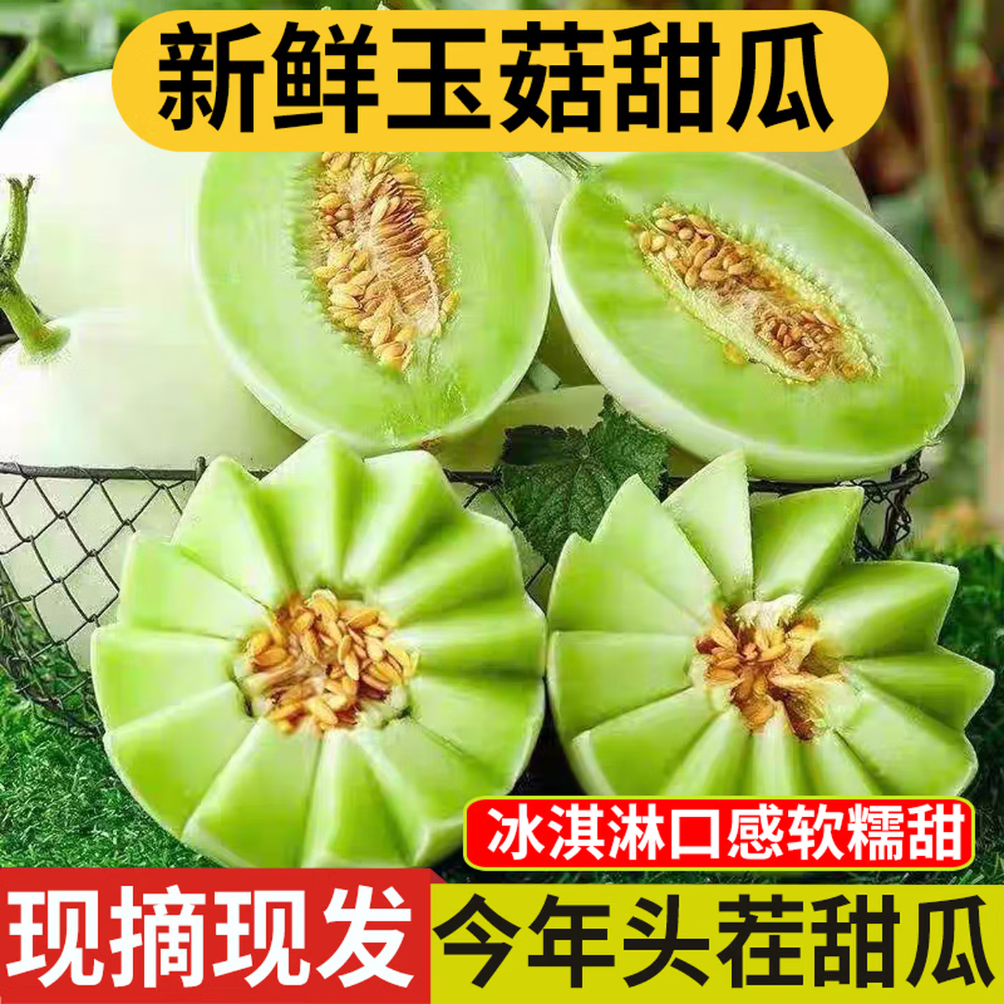 季节集冰淇淋玉菇甜瓜奶香蜜新鲜水果当季冰淇淋脆甜香瓜孕妇B 净重4.5-5斤丨2-3个【冰淇淋口感】