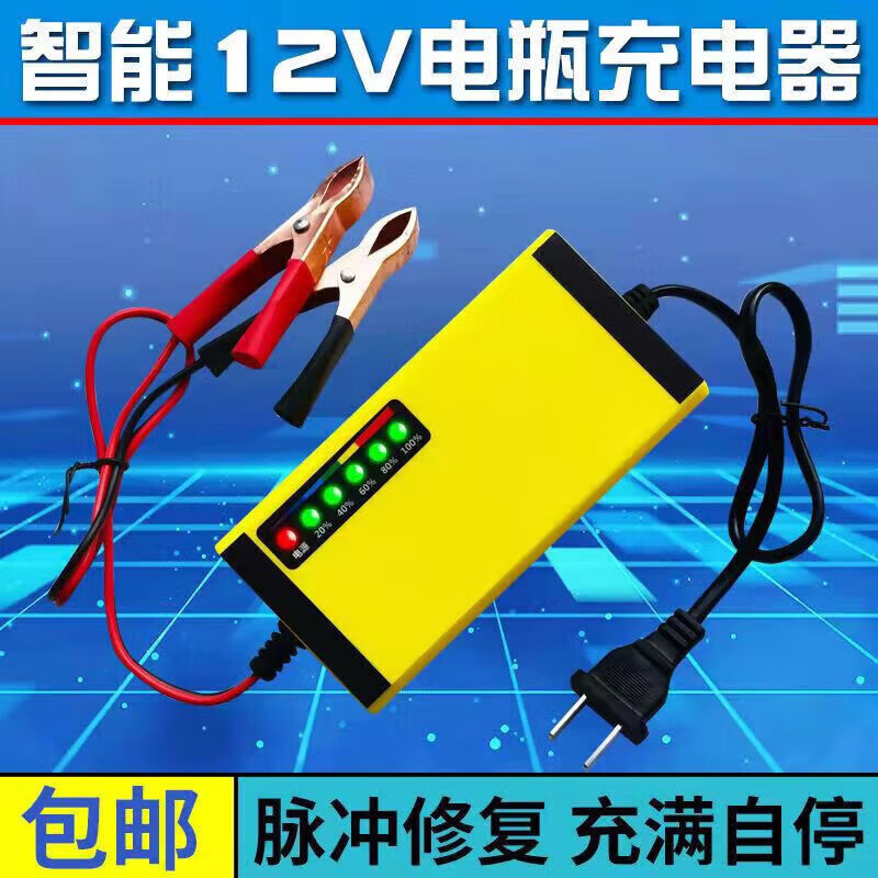 汽车充电器12V24v智能充满自动断电电瓶摩托车轿车货车蓄电池 新款12V六灯(智能款)