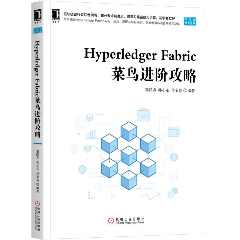 Hyperledger Fabric菜鸟进阶攻略/区块链技术丛书