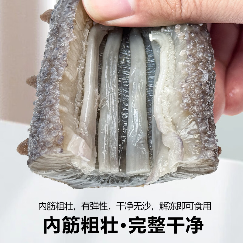 参阿婆鲜蒸即食海参新鲜刺参独立包装冷冻生鲜非淡干干货干参可配礼盒 鲜蒸海参一斤装【到手13-18只】