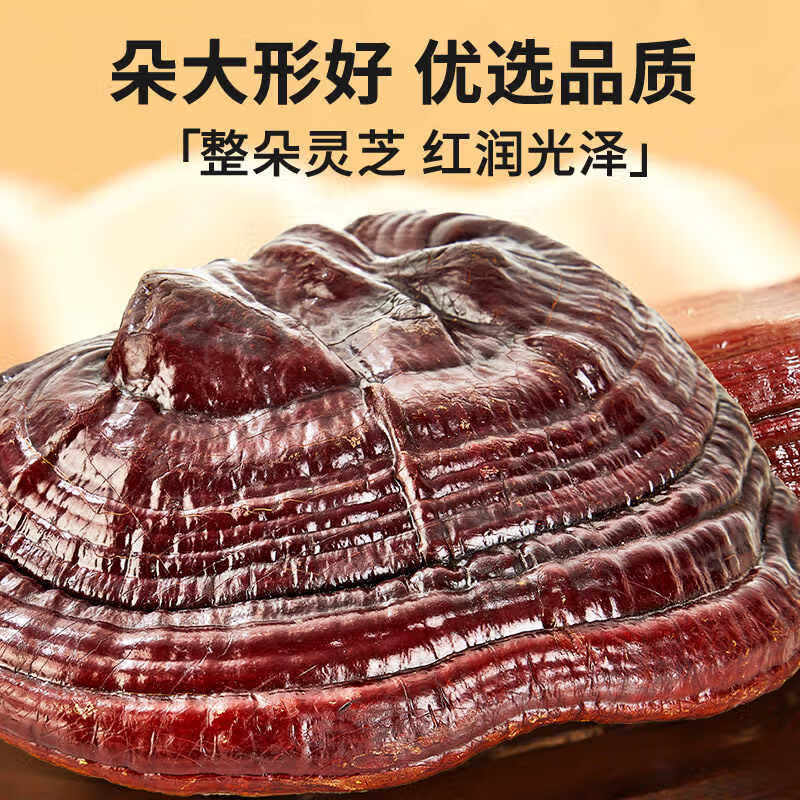 同仁堂北京同仁堂灵芝礼盒(整颗灵芝)250克送父母滋补节日礼品