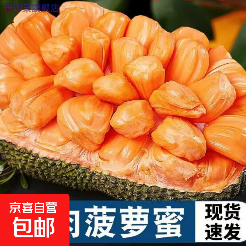 海南菠萝蜜新鲜水果波罗蜜菠萝蜜一整个红肉水果新鲜当季果香浓郁 【现摘现发】海南泰八菠萝蜜净重8-10斤