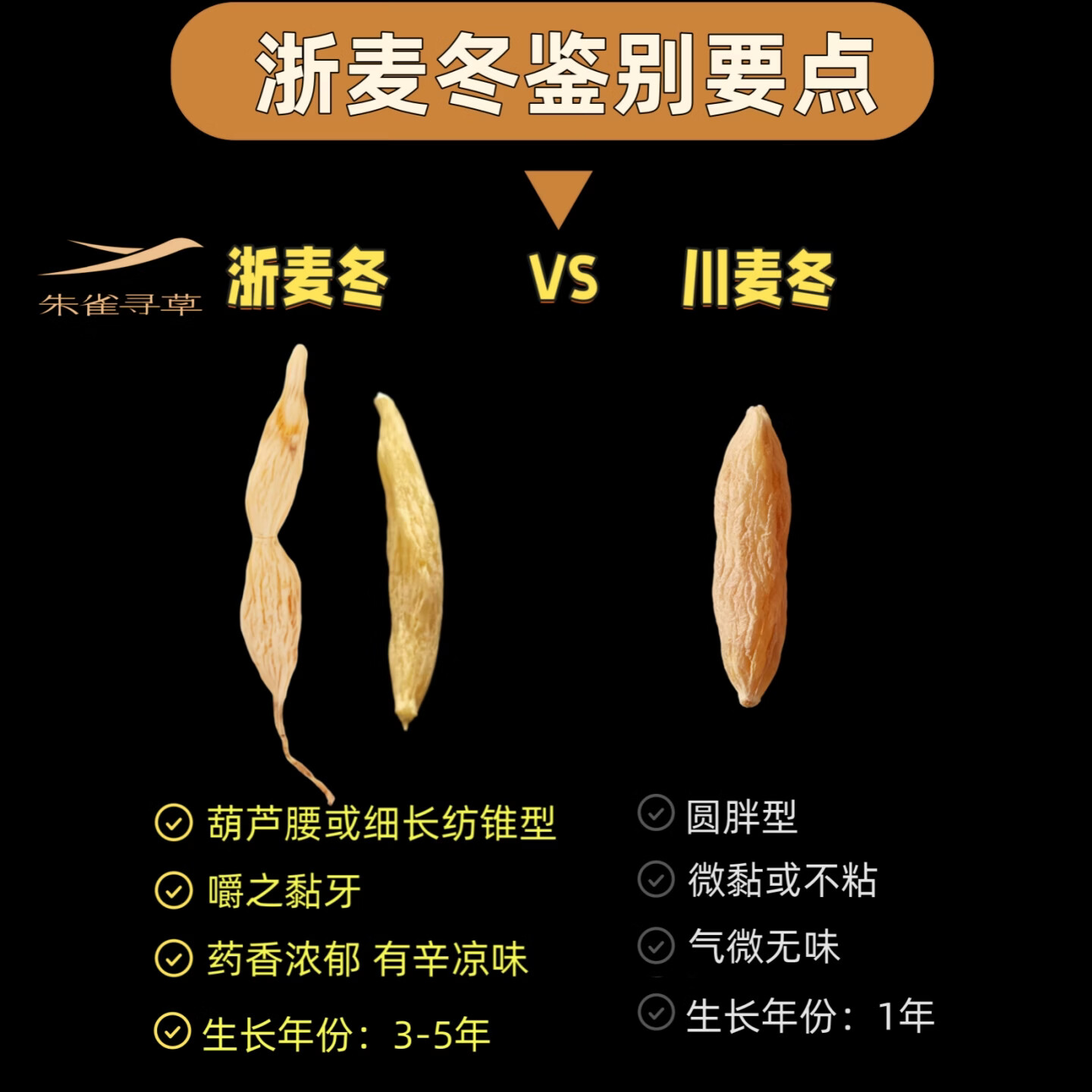 朱雀寻草浙江慈溪产浙麦冬道地精品特级无硫熏独立真空小包装小袋装 正宗道地慈溪产浙麦冬 180g*1罐 约20袋