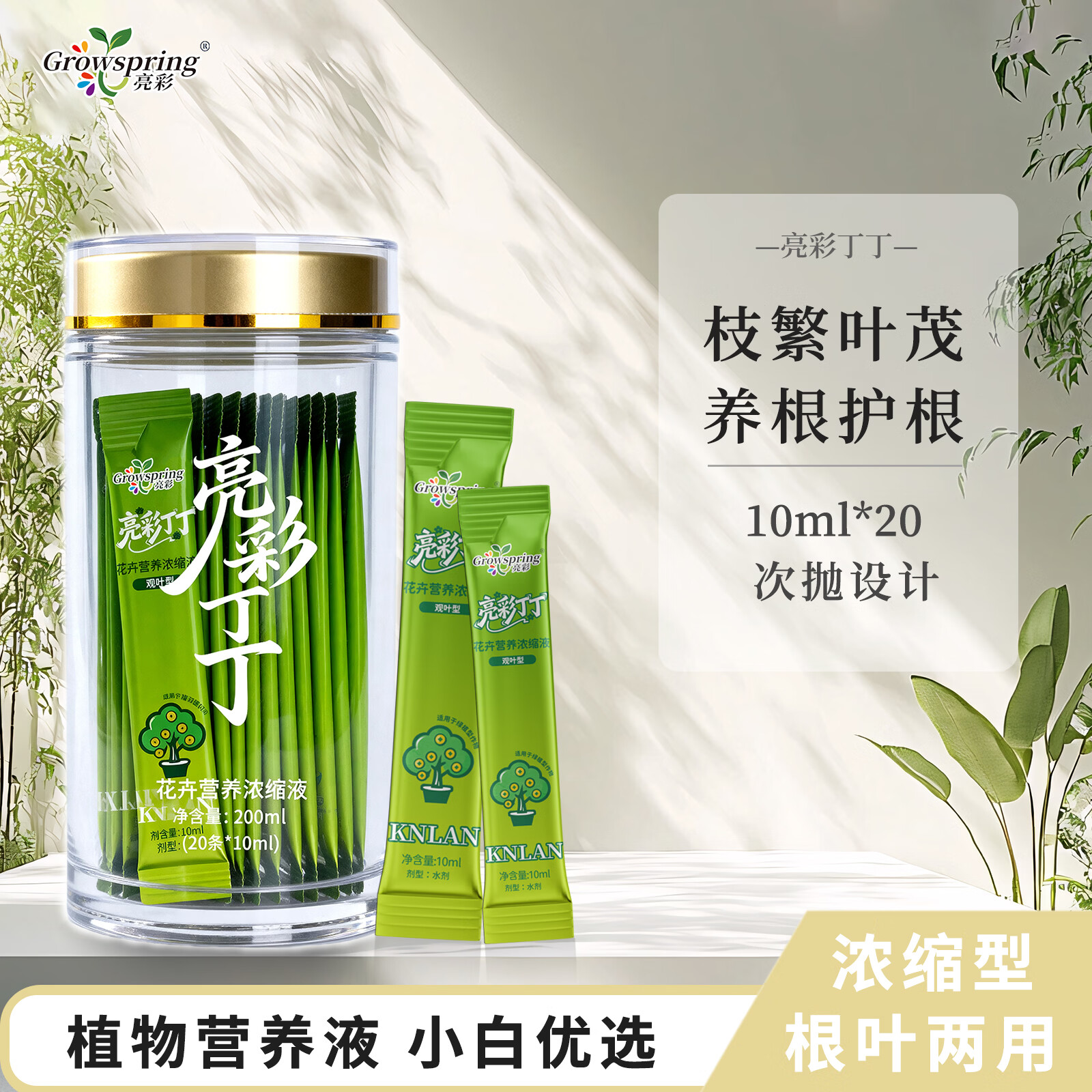 亮彩丁丁观叶型植物浓缩营养液绿萝发财树养护叶片适用水培土培 观叶