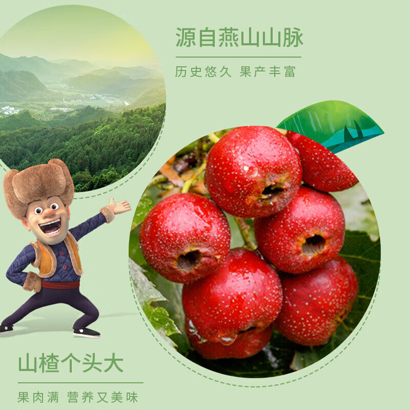 怡达鸡内金山楂棒棒糖果丹皮儿童宝宝开胃零食独立小包装 3种口味【约36支】熊出果丹皮山楂棒1盒