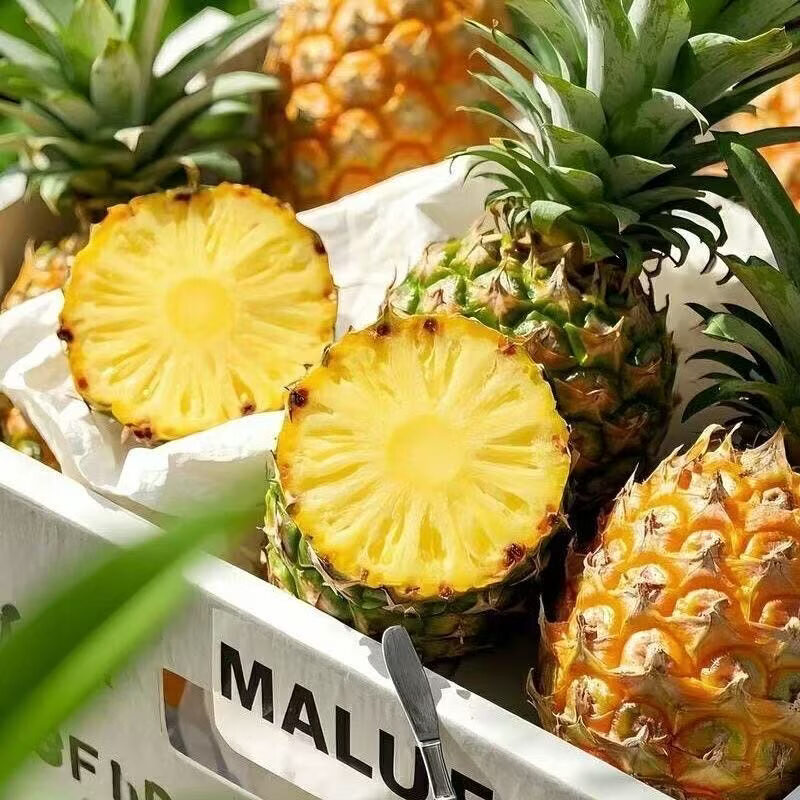 庾丰  云南西双版纳黑钻凤梨新鲜水果整箱菠萝 热带水果生鲜团购送礼 5斤装（净重4.5斤）约2-4个+