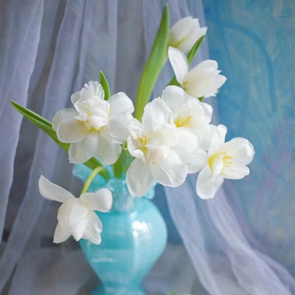 重瓣郁金香白色鲜花花束花礼室内水养鲜切花插花云南基地直发 A级(10枝)