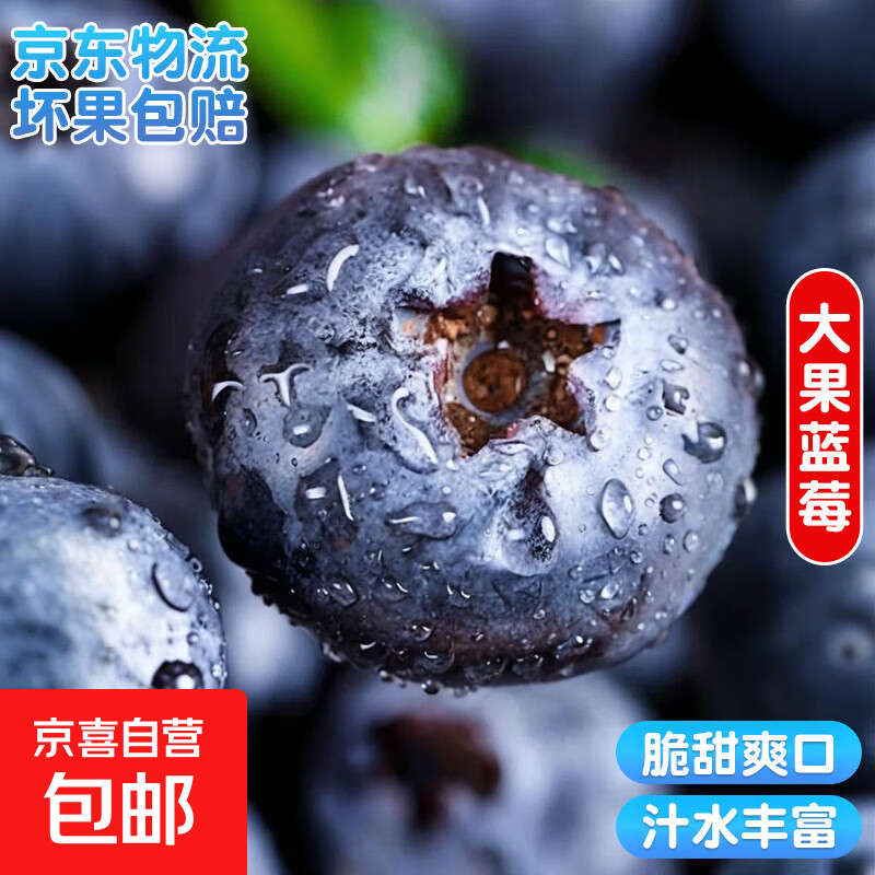 云南国产蓝莓超大果【多地次日达JD快递】孕妇新鲜水果 精选蓝莓 4盒装 多买多划算【70-90g/盒】 中果【单果15mm+】
