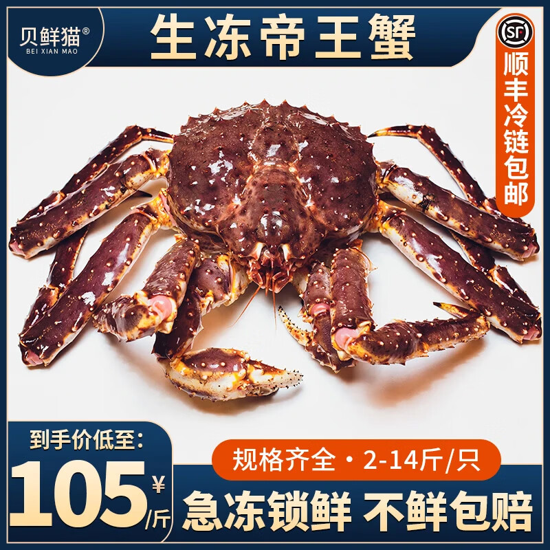 贝鲜猫 俄罗斯帝王蟹进口新鲜冷冻 特大螃蟹腿帝皇蟹 海鲜水产节日礼盒 3.1-3.5斤/只