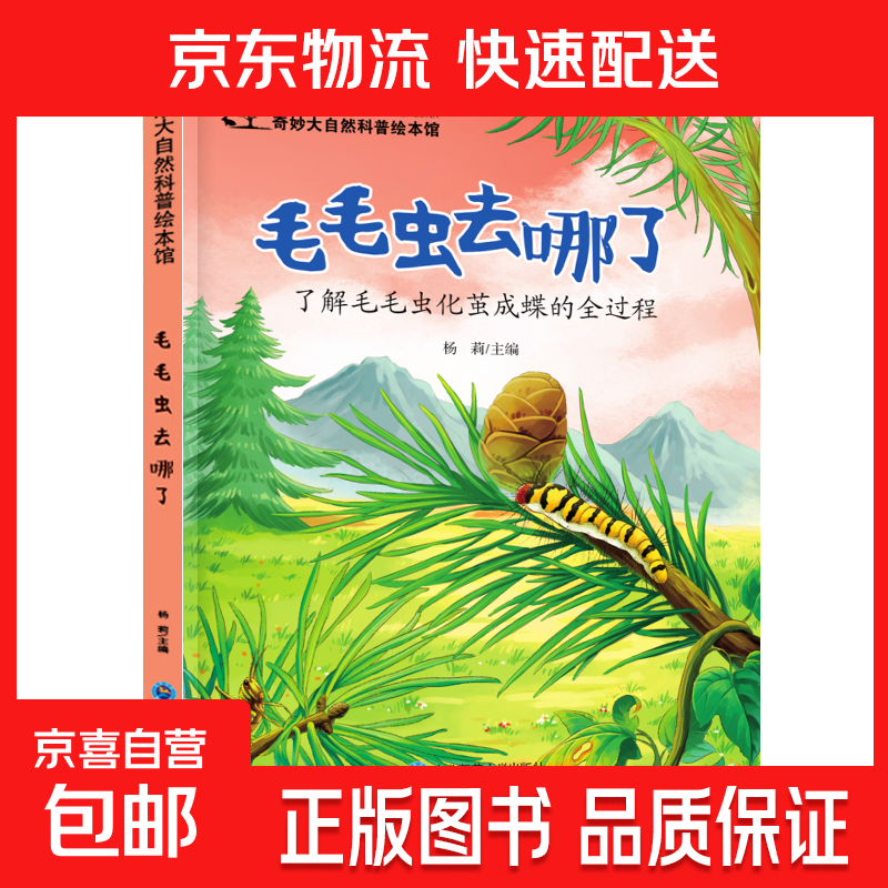 儿童科普绘本启蒙书籍3-6-8岁奇妙大自然幼儿园课外阅读百科全书 毛毛虫去哪了 无规格