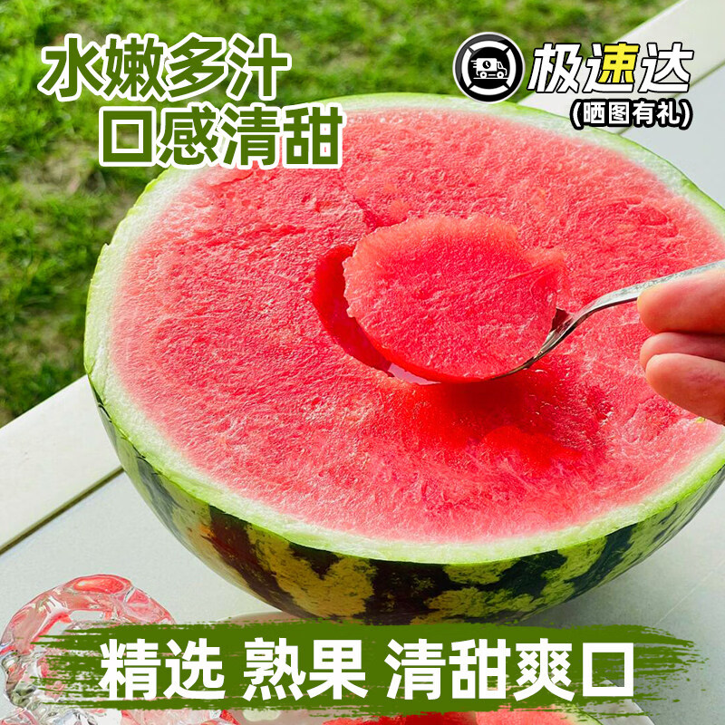 春福乐麒麟西瓜新鲜当季水果现摘皮大西瓜有籽无籽混发甜西瓜正宗包邮 净重4-5斤一个瓜+双层防护