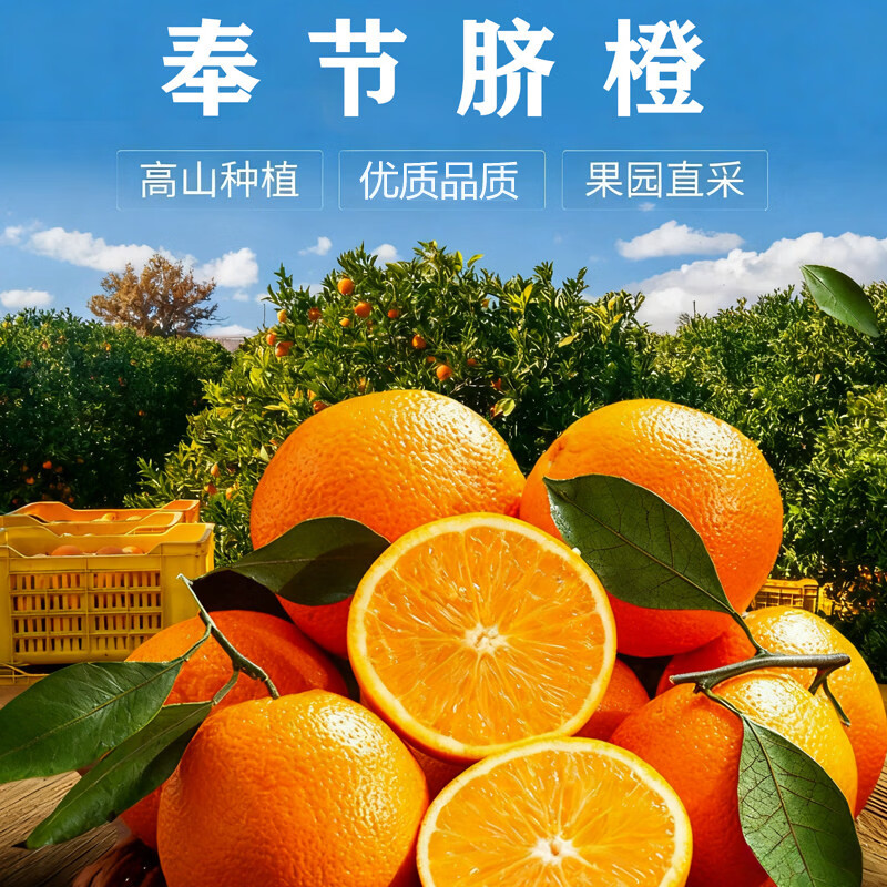 重庆奉节脐橙 脐橙 新鲜水果 生鲜 重庆特产 产地现摘直发 带箱10斤 70-75mm 果径70mm-75mm