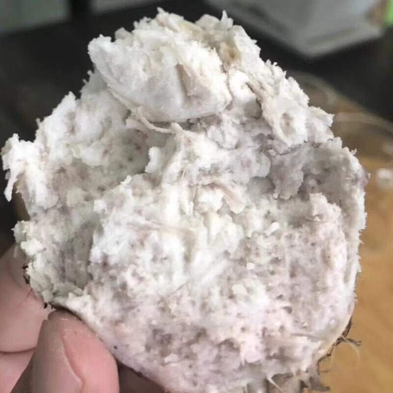 韶关乐昌张溪香芋炮弹芋头新鲜小芋头仔粉糯毛芋牛奶芋艿广东槟榔 10斤 3-8个一斤 新鲜挖带泥发货