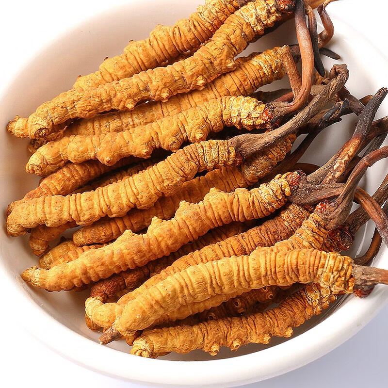 半山农冬虫夏草5条/克 1克 虫草 礼品补品性价比款