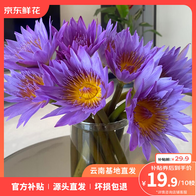 ��Ʒ����ɫ˯���ʻ�����ֱ�����л������ʻ��칫���ʻ� ��ɫ˯��10֧ 19.9Ԫ