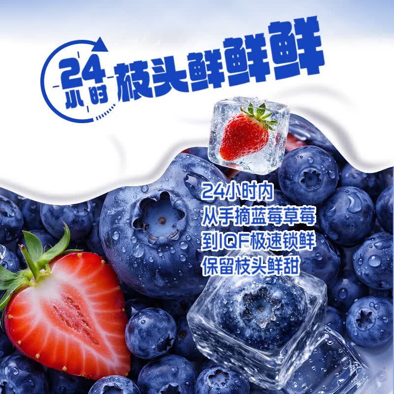 伊利安慕希整颗蓝莓200g*8瓶/箱 礼盒装