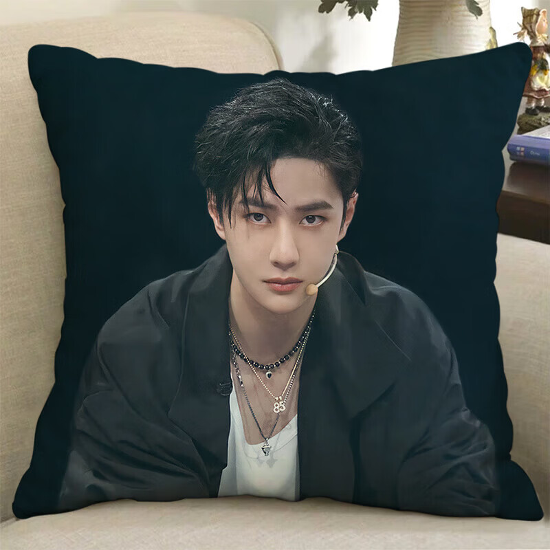 卡佰索王一博双面应援抱枕含枕芯45X45送闺蜜 【双面不含枕芯】40x40厘米 金王一博-1