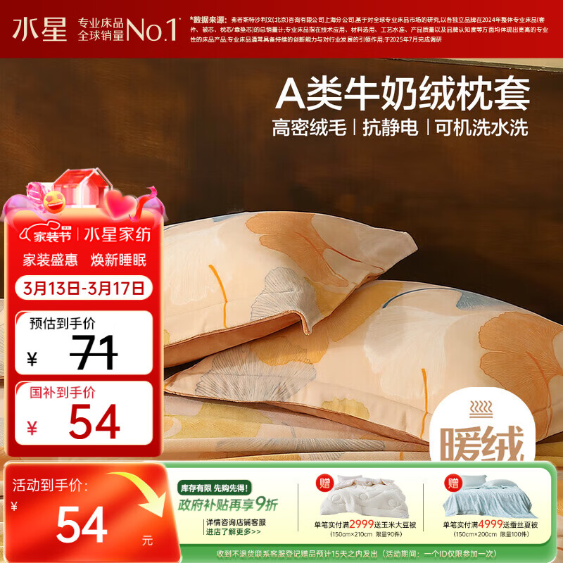 水星家纺枕套牛奶绒冬季双面保暖对枕套抗静电A类枕头罩一对装双人48x74cm