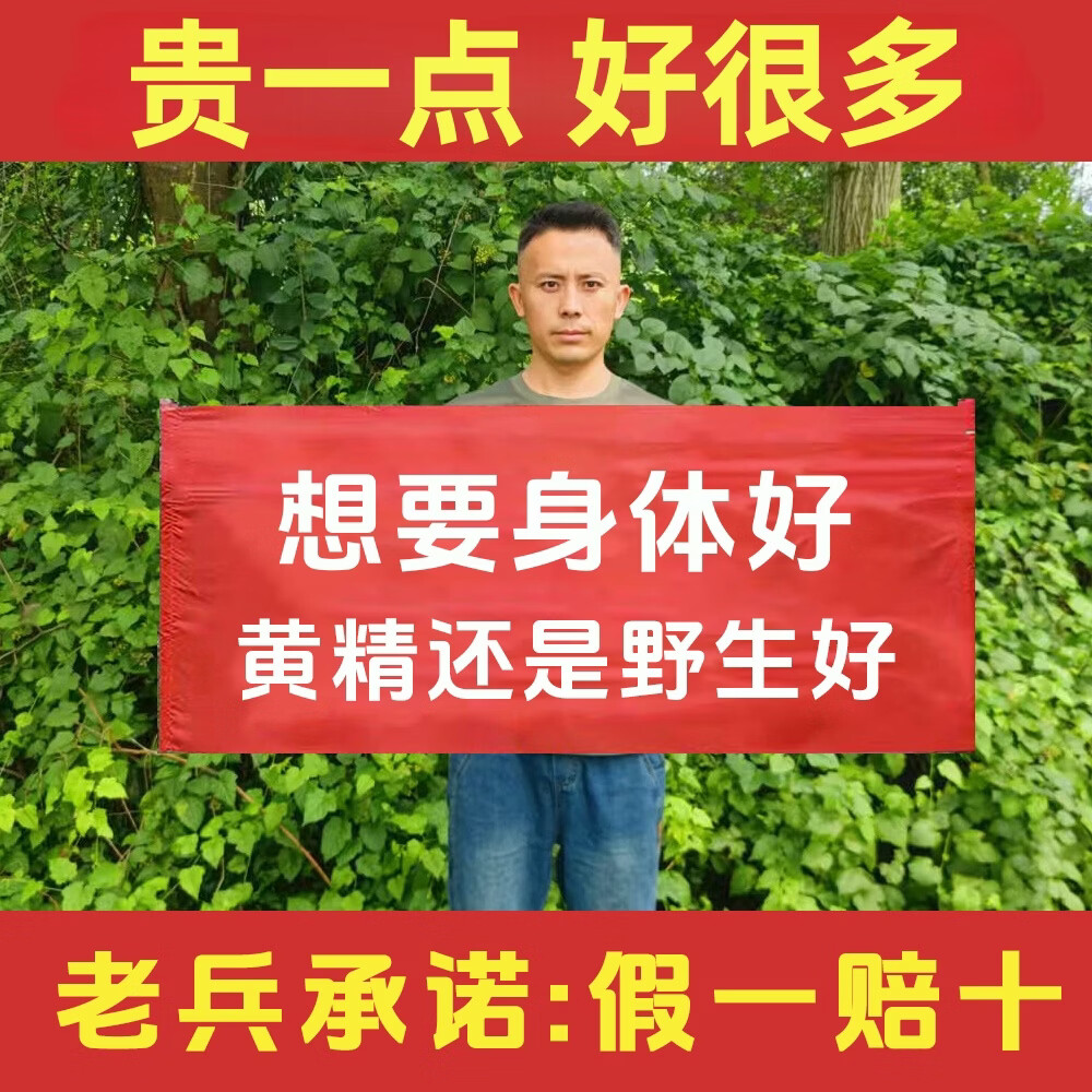 老兵青城山野生黄精九蒸九制即食中药材正品九晒送礼黄精 轻度体验装 500g*1袋