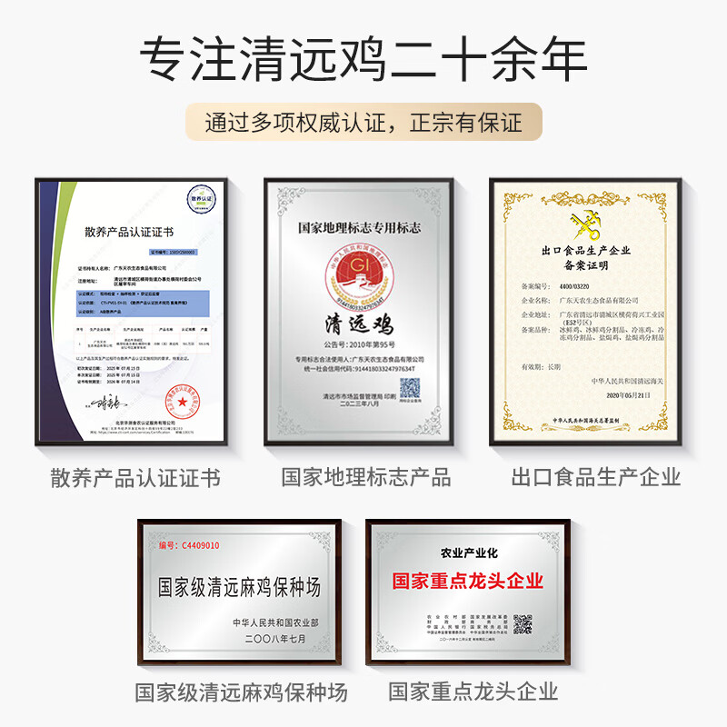 天农清远鸡皇后鸡 4斤 供港老母鸡走地鸡 山林散养365 月子炖汤食材 清远皇后鸡2斤*2只